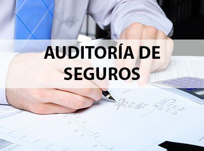 Alkora seguros. Servicios: Auditoria de seguros Seguros Alkora. Auditoría de Seguros