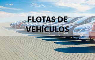 Alkora seguros. Sector Flotas de vehículos