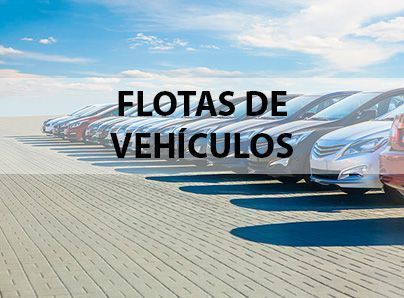 Seguros para el sector FLOTAS DE VEHÍCULOS