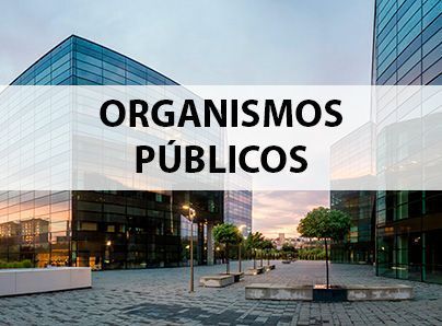 Seguros para Organismos Públicos