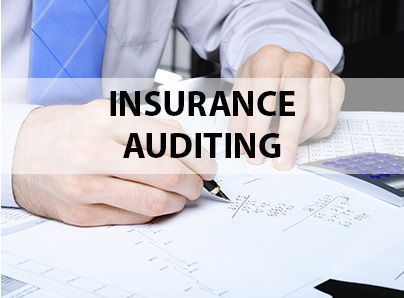 Alkora. Insurance auditing Alkora. Insurance auditing