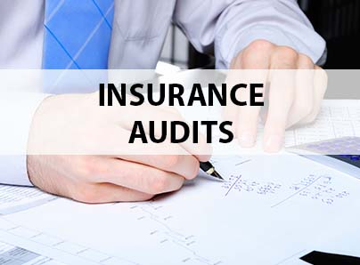 Alkora. Insurance auditing