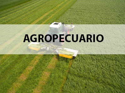 Seguros para Sector Agropecuario