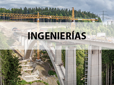 Seguros para Ingenieros